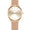 Annie Rosewood - Primrose Classic Watch