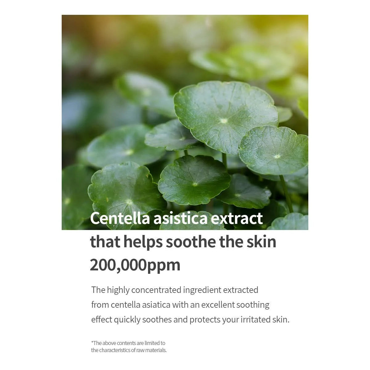 Mixsoon Centella Mask Pack