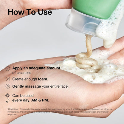 Renew Heartleaf Quercetinol Cleansing Foam